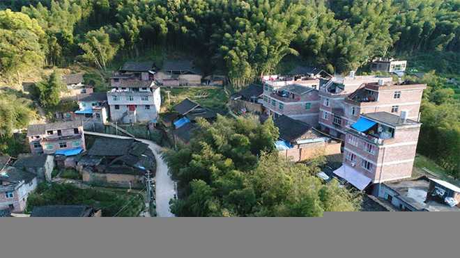 【一枝一葉總關情】習近平兩會“惠”民生