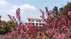 湖南邵陽(yáng)：文旅業(yè)態(tài)呈現(xiàn)勃勃生機(jī)的一個(gè)縮影