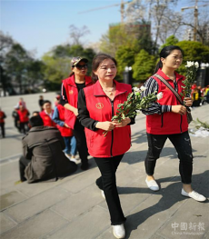 貴州桐梓百名志愿者開展清明節(jié)掃墓活動