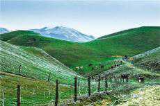 湖南南山國(guó)家公園：將全面實(shí)施保護(hù)野生動(dòng)植物