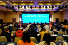 2019年西安市共計發(fā)行16支債券 累計發(fā)行金額163.5億元