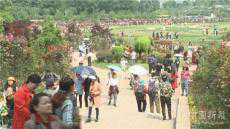 “五一”小長(zhǎng)假 湖南省共接待游客2322.31萬人次