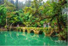 渝臺基層交流活動在重慶武隆舉行