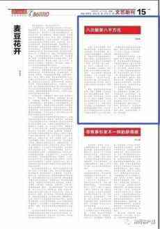 南京打掉12個黑社會性質(zhì)組織