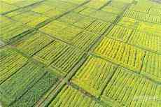 希望田野上書寫春天答卷