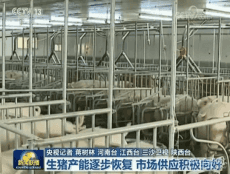 生豬產(chǎn)能逐步恢復 市場供應積極向好