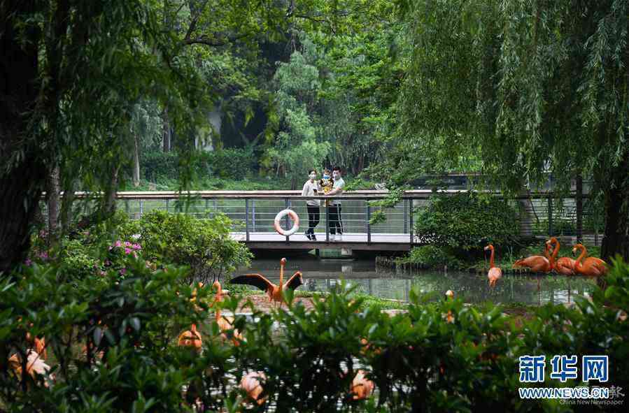 (在習近平新時代中國特色社會主義思想指引下——新時代新作為新篇章·習近平總書記關(guān)切事·圖文互動)(8)疫情防控不減壓 復工復產(chǎn)正加速——武漢“解封”滿月觀察