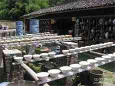 胡揚平：?小詩一束（四首）