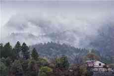 散文 | 我讀王維《終南別業(yè)》詩