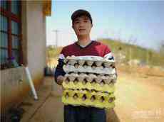 賀桂祥：回到起點?只因?qū)@片土地愛得深沉  ?