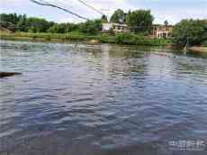 村民鴨蛋滯銷，常寧市德寶膳食公司積極解憂