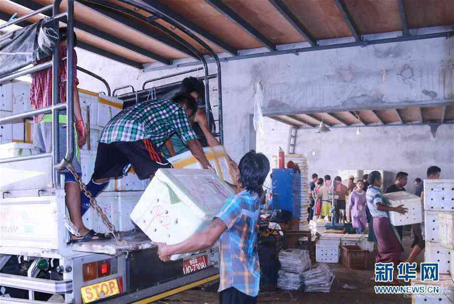 (新華全媒頭條·圖文互動(dòng))(7)中國(guó)—東盟自貿(mào)區(qū):“黃金十年”塑造世界經(jīng)貿(mào)新格局