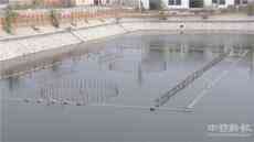 厲害了我的村！河北滿城龐村有了彩燈音樂噴泉了