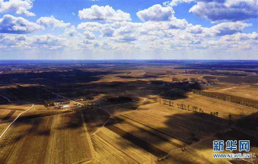 （在習(xí)近平新時(shí)代中國(guó)特色社會(huì)主義思想指引下——新時(shí)代新作為新篇章·習(xí)近平總書記關(guān)切事·圖文互動(dòng)）（2）讓百姓吃得飽還要吃得好——夯實(shí)糧食安全基礎(chǔ)端牢中國(guó)飯碗