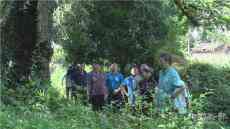 張大方調(diào)研綏寧“古樹(shù)名木和天然林保護(hù)”工作