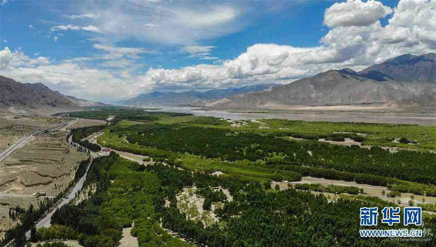 （新華全媒頭條·圖文互動(dòng)）（3）闊步走在新時(shí)代康莊大道上——以習(xí)近平同志為核心的黨中央關(guān)心西藏工作紀(jì)實(shí)