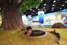 中國科技館全面恢復(fù)對外開放