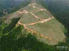 看長山萬山紅遍——中南大學駐江華長山村扶貧工作小記