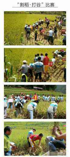 桐梓堯龍中學:農(nóng)事體驗課 提升學生勞動實踐能力