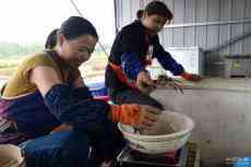 海外人士熱議中國減貧經(jīng)驗全球啟示