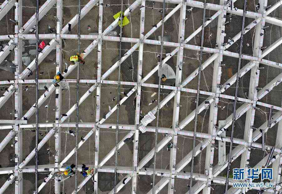 （社會）（2）堅(jiān)守崗位過假期