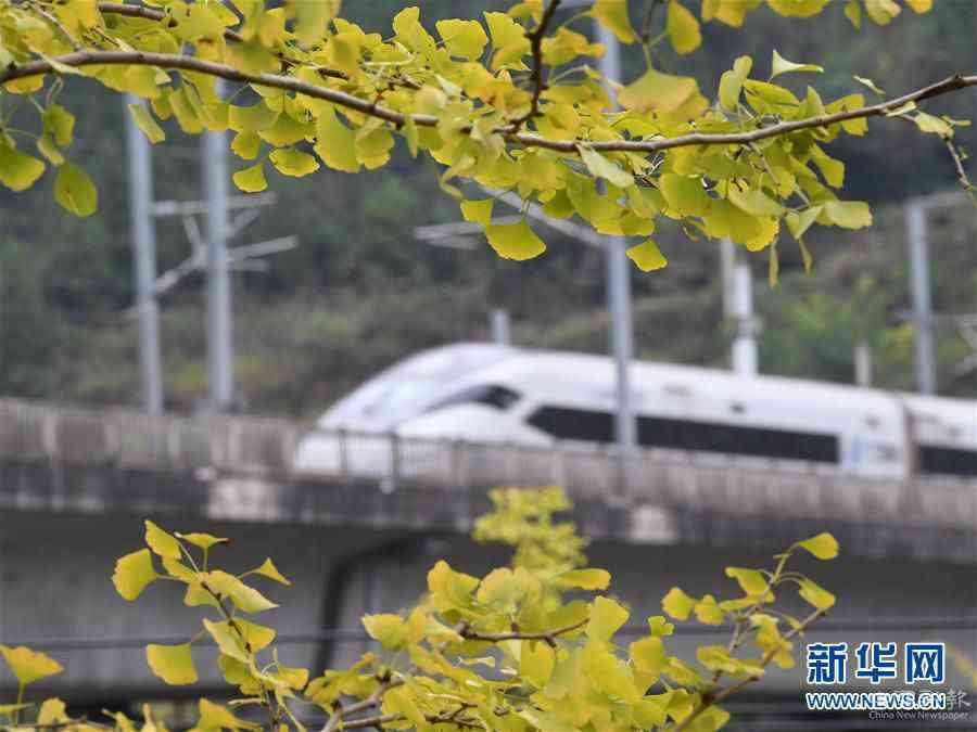 #（圖文互動）（3）全國鐵路10月11日起實(shí)施新的列車運(yùn)行圖