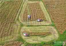 “田”隊(duì)長扶貧記