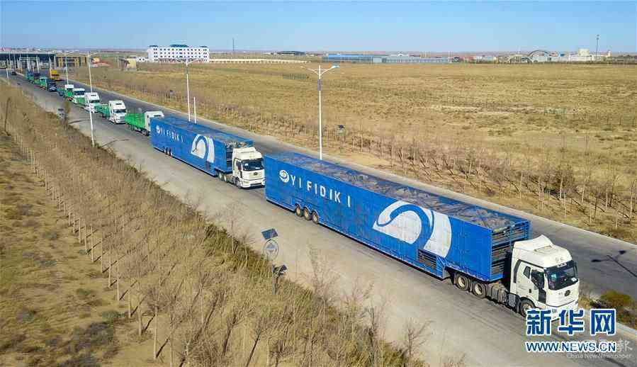 （社會）（3）中國開始接收蒙古國3萬只“捐贈羊”