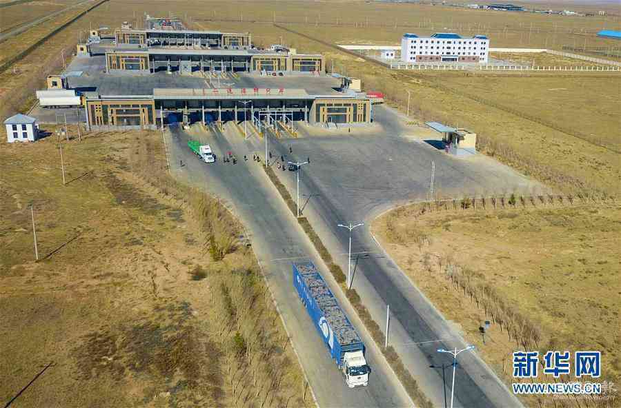 （社會）（10）中國開始接收蒙古國3萬只“捐贈羊”