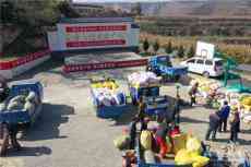 甘肅慶陽白瓜子讓群眾笑了，錢袋子鼓了