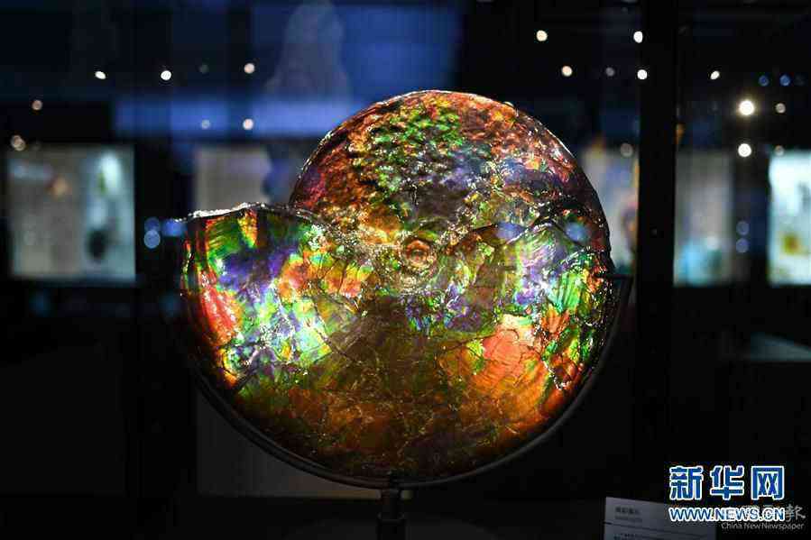 （第三屆進(jìn)博會(huì)·新華視界）（1）觀展體驗(yàn)：多彩·絢爛·未來感