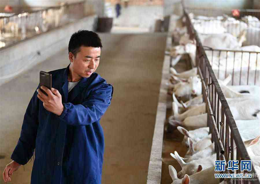 （新華全媒頭條·五中全會精神在基層·圖文互動）（12）奮發(fā)新青年　逐夢新征程——各地青年學(xué)習(xí)貫徹落實五中全會精神觀察