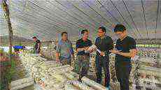 奮力譜寫精準(zhǔn)扶貧時(shí)代答卷