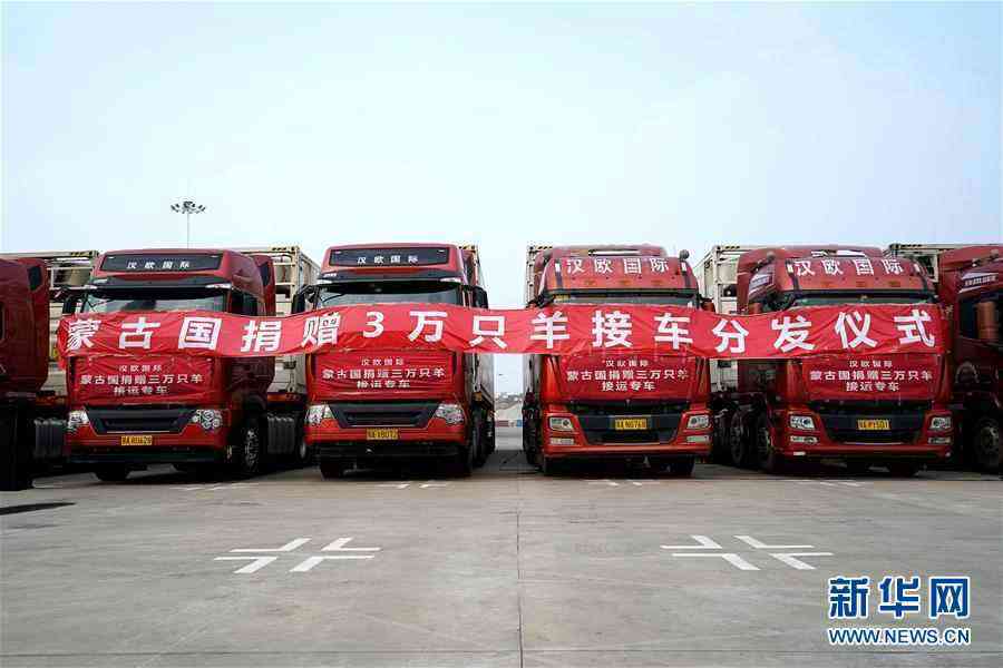 （新華全媒頭條·圖文互動(dòng)）（1）在世界大變局中引領(lǐng)前行的方向——2020年中國(guó)元首外交綜述