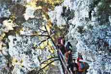 元旦假期！莽山五指峰景區(qū)人氣旺