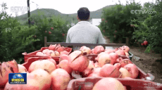 8年1億人脫貧！中國(guó)脫貧攻堅(jiān)創(chuàng)造歷史偉業(yè)