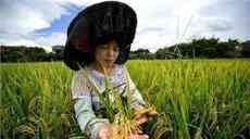 政府工作報告：5575萬農(nóng)村貧困人口實現(xiàn)脫貧