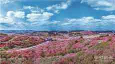 2021年貴州春季旅游推介會在武漢召開