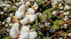 臺媒警告蔡英文當局：別在新疆議題上瞎起哄