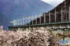 拉薩至林芝鐵路開始靜態(tài)驗(yàn)收