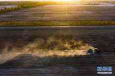 建黨百年看中國丨創(chuàng)新發(fā)展之農(nóng)業(yè)現(xiàn)代化之路