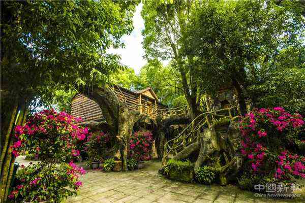 文成天湖森林康養(yǎng)基地 圖源:溫州發(fā)布 文成天湖森林康養(yǎng)基地 圖源:溫州發(fā)布