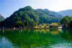 溫州這些基地，讓人自由“森”呼吸！