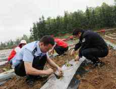 學(xué)黨史辦實事? ? 助農(nóng)忙解民憂