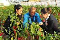 大同農(nóng)信：多措并舉，繪一幅鄉(xiāng)村振興塞北圖