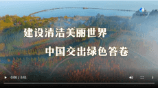 建設(shè)清潔美麗世界，中國交出綠色答卷