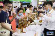 中國-中東歐國家博覽會向公眾開放