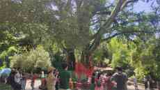 湖北：紅色旅游人氣高漲，端午市場秩序安全平穩(wěn)有序