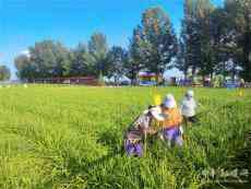 山西大同農(nóng)信2.4億元脫貧小貸賦能鄉(xiāng)村振興“源動(dòng)力”