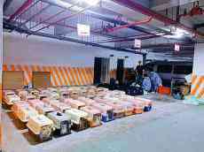 臺(tái)當(dāng)局撲殺154只走私寵物貓 蔡英文臉書評(píng)論區(qū)“炸了”